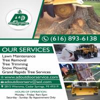 A & D Outdoor Service | Tree removal Grand Rapids image 1
